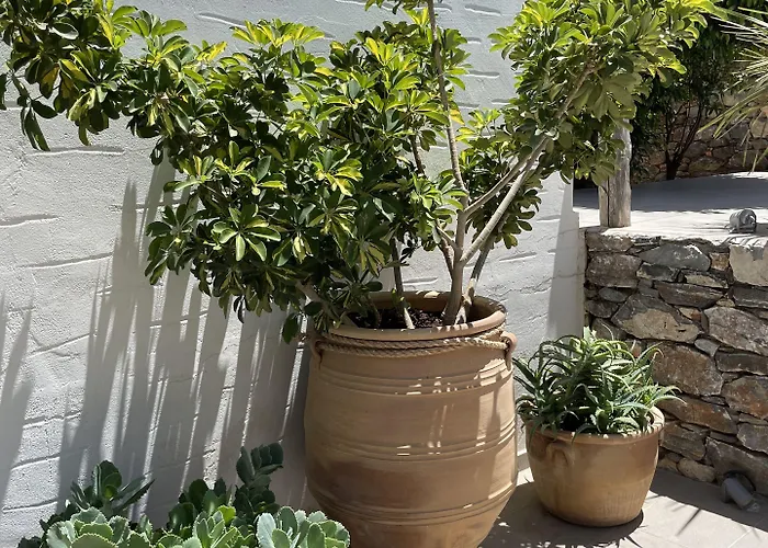 Hotel Speires Irakleia (Naxos)